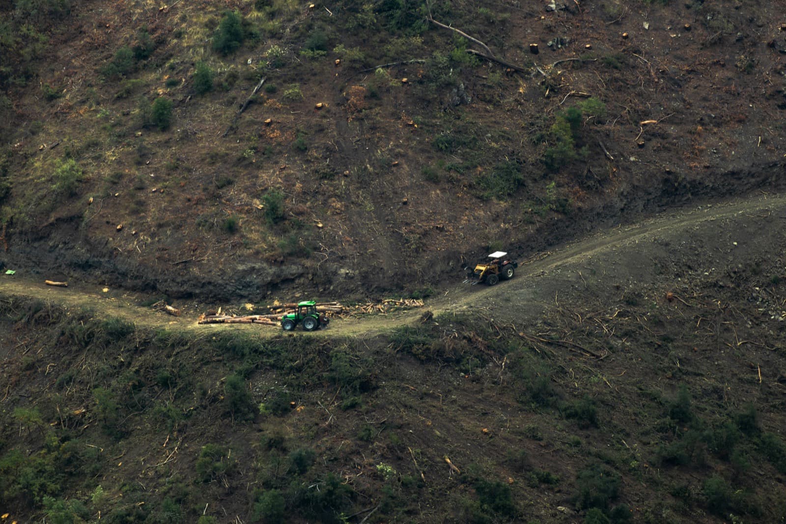 Forwarder and Harvester Uptime Habits for Forestry Contractors