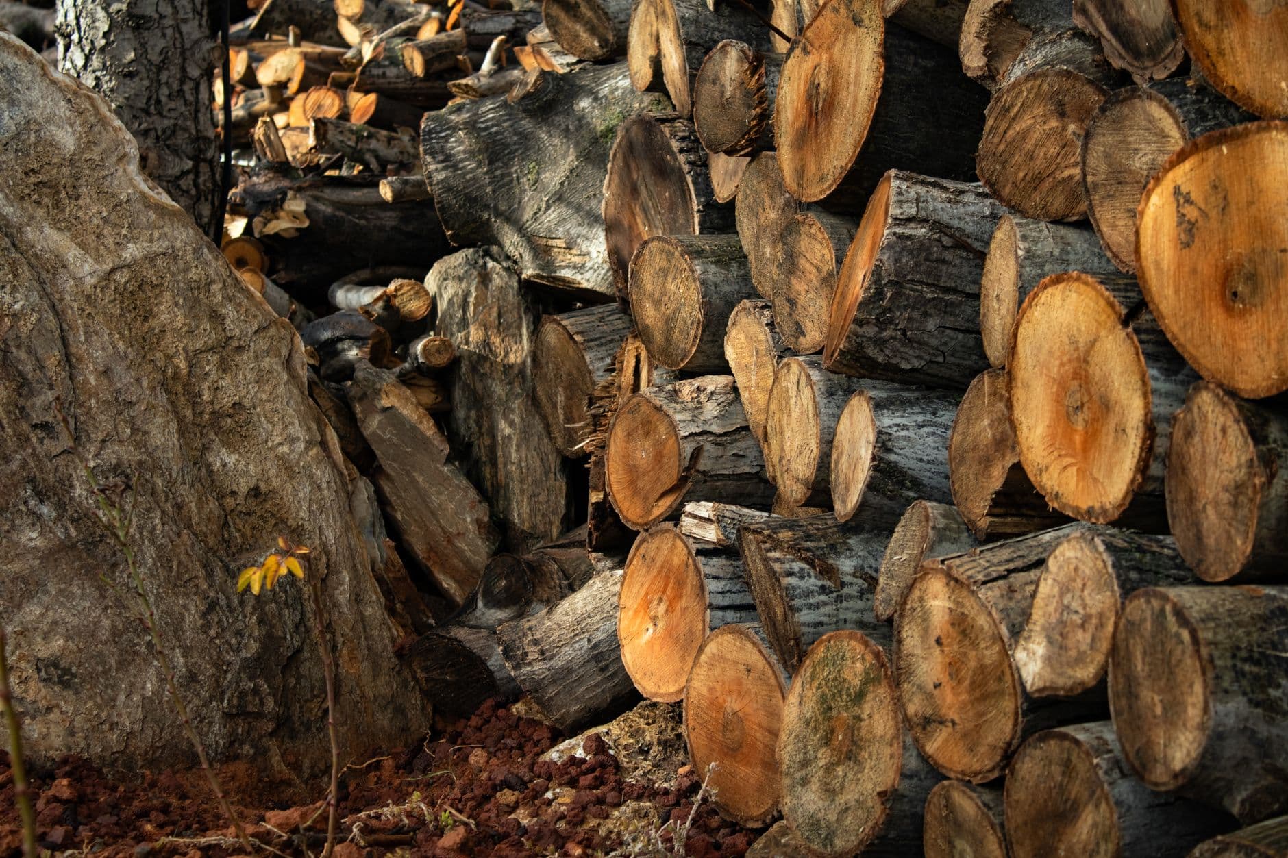 Why Forestry Parts Planning Matters Before Remote Work Starts