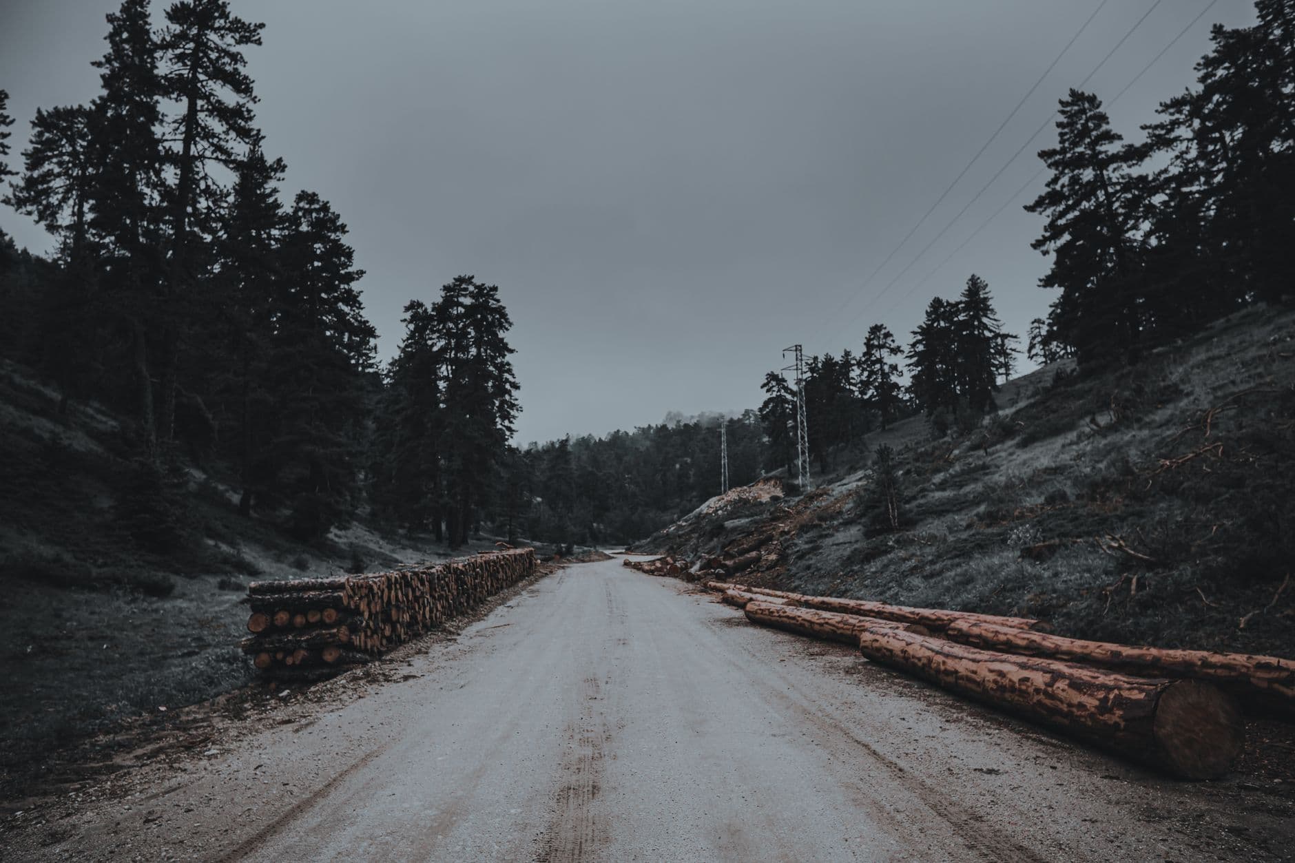 How Fleet Owners Can Prioritize Repairs When Several Units Need Attention