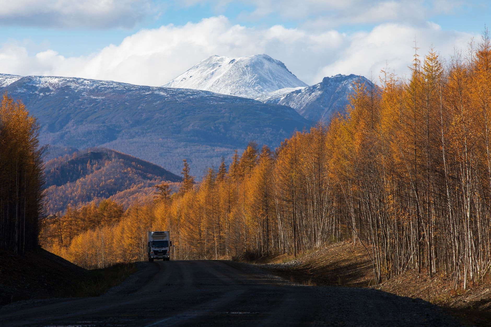 Why Belly Pan Cleaning Matters on Forestry Equipment Between Service Visits