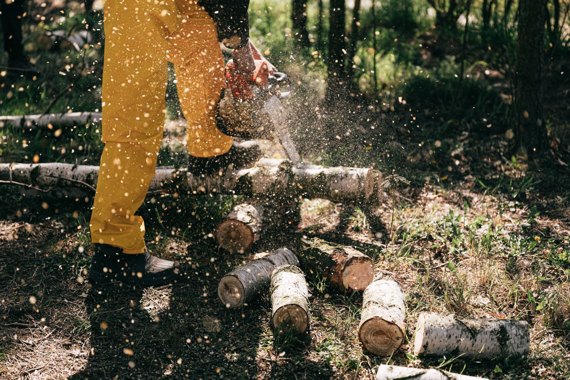 Why Fluid Sampling Notes Make Forestry Equipment Trend Reports More Useful
