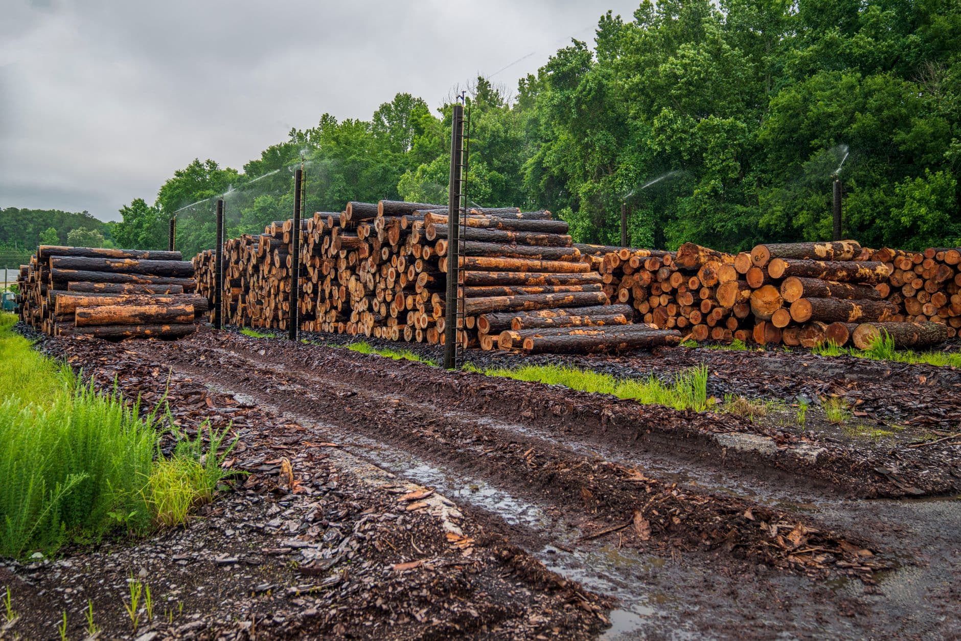Why Forestry Equipment Serial Numbers Save Time When You Need Parts Fast