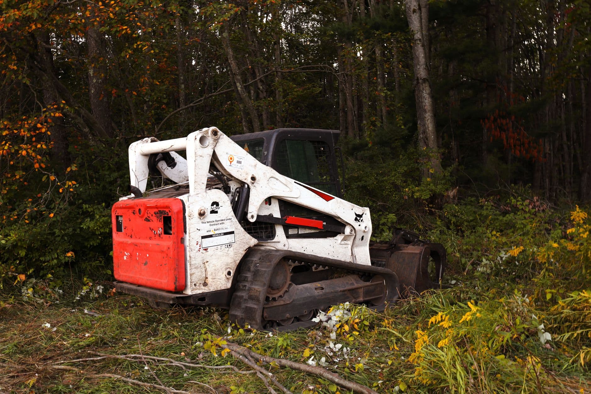 What to Document After a Pothole or Curb Strike Before Alignment Service