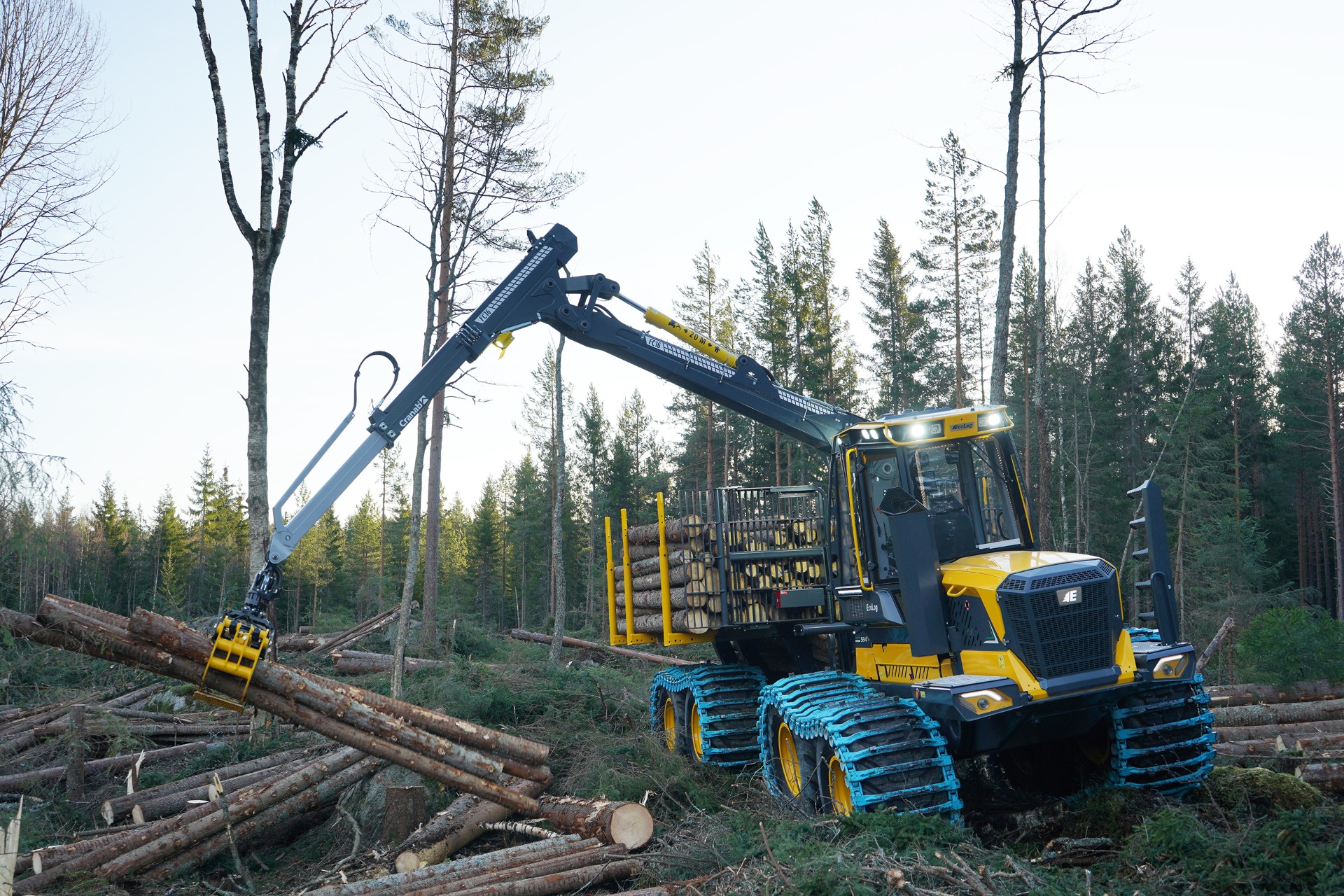 Turning Uncertainty into Opportunity: The Evolution of Forestry in Western Canada